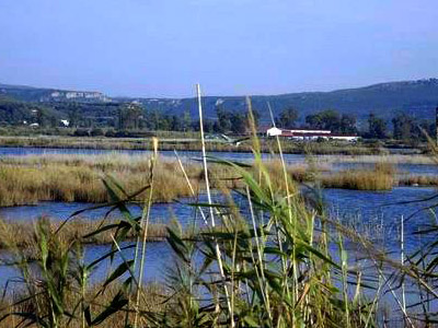 Το παραμύθι της Γιάλοβας